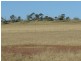 Daroobalgie NSW 2870