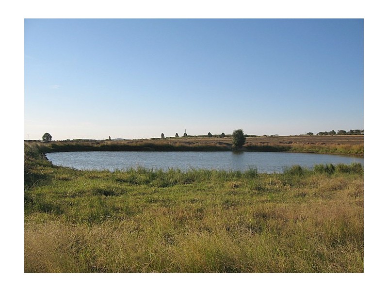 Lot 34 Harvey Park Road, Peak Hill NSW 2869