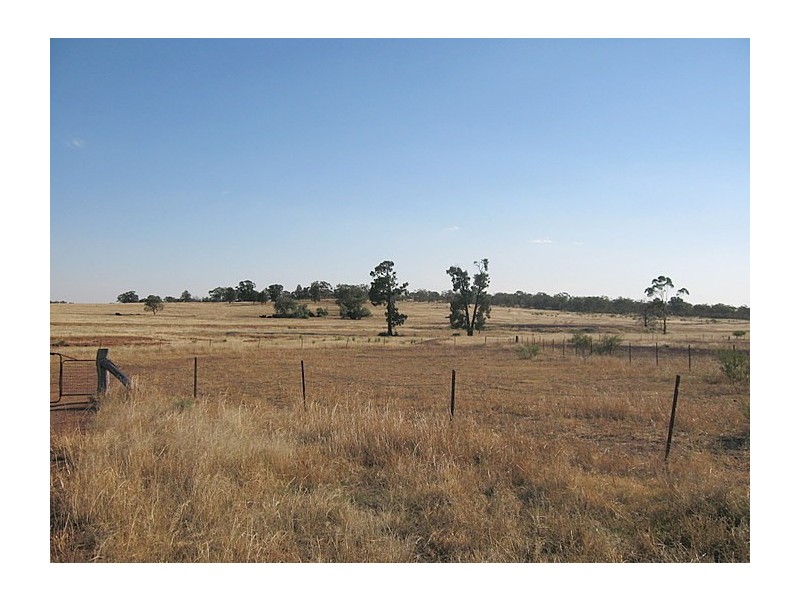 Lot 34 Harvey Park Road, Peak Hill NSW 2869