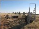 Lot 34 Harvey Park Road, Peak Hill NSW 2869
