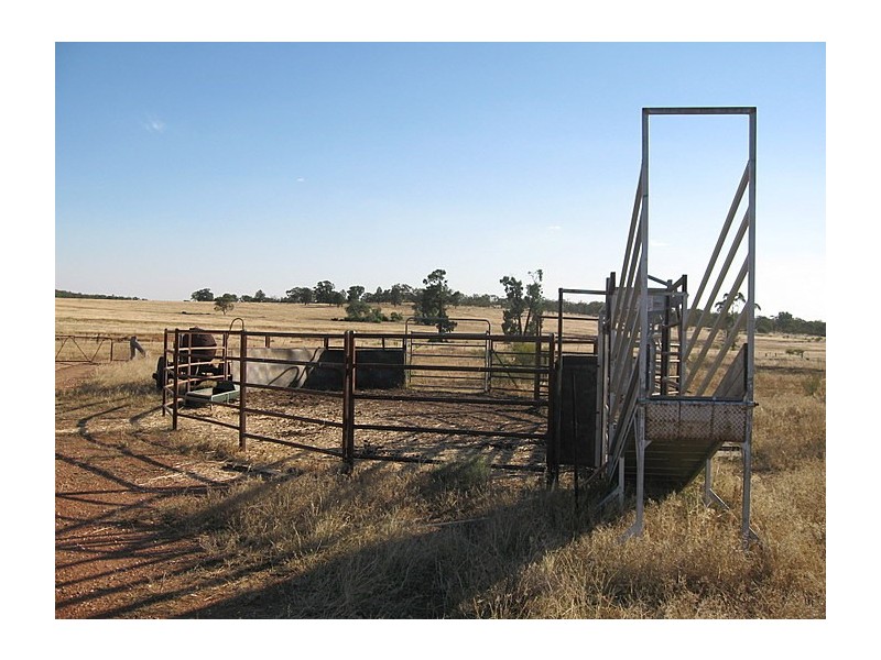 Lot 34 Harvey Park Road, Peak Hill NSW 2869