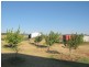 Lot 34 Harvey Park Road, Peak Hill NSW 2869