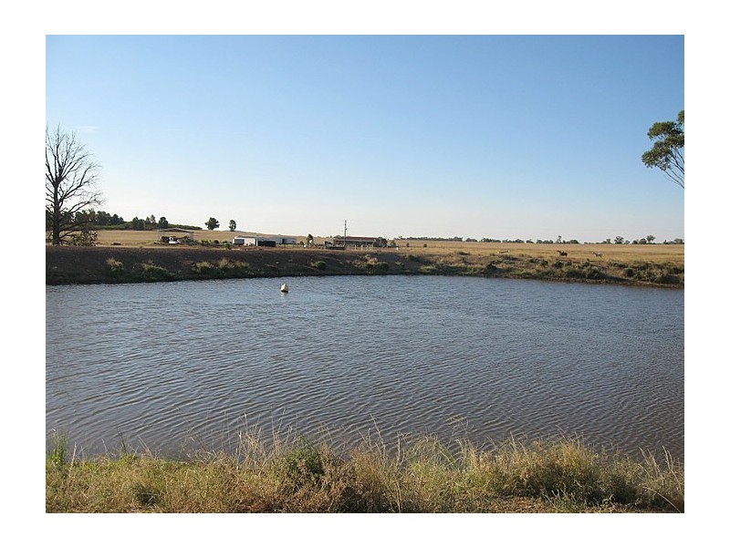 Lot 34 Harvey Park Road, Peak Hill NSW 2869