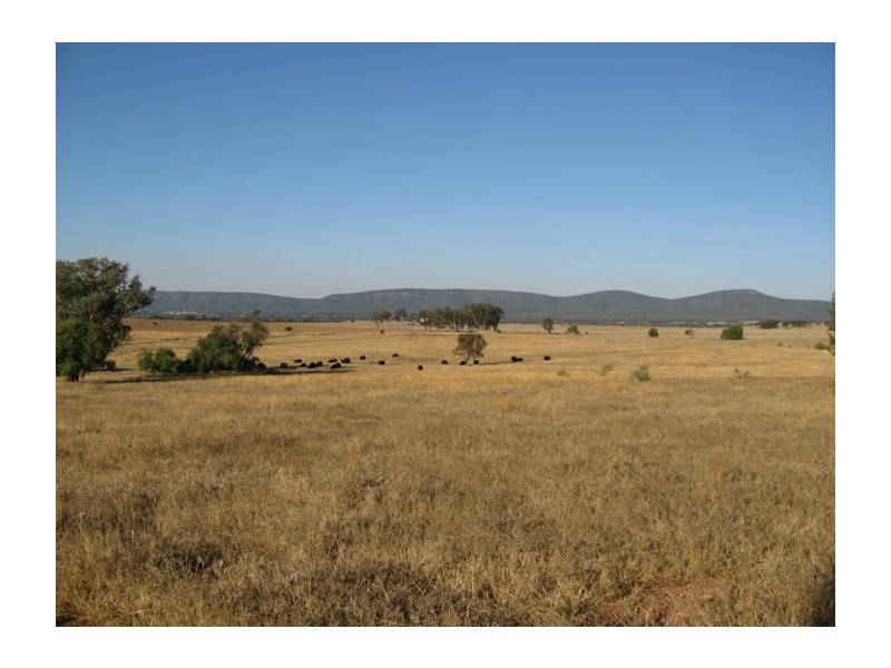 Lot 34 Harvey Park Road, Peak Hill NSW 2869