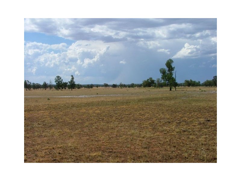 Condobolin NSW 2877