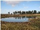 Trundle NSW 2875
