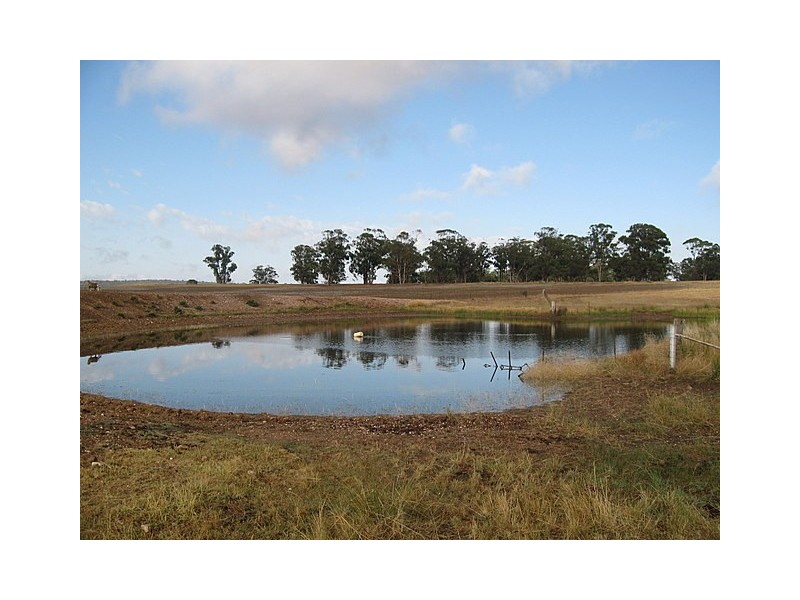Trundle NSW 2875