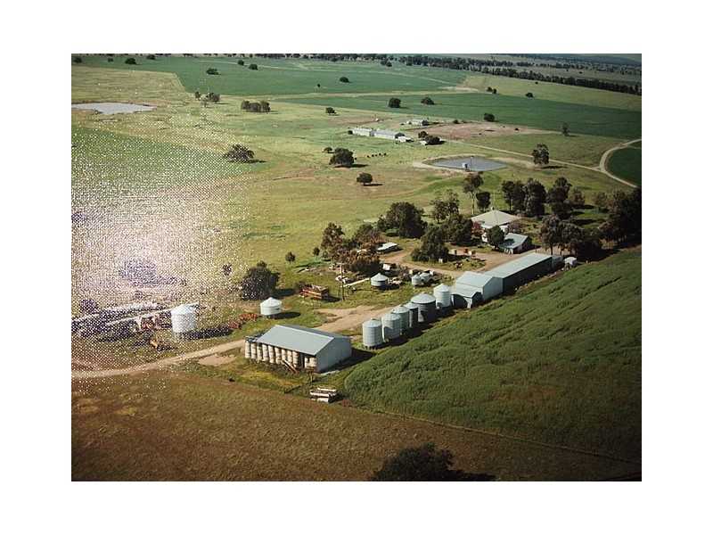 Trundle NSW 2875