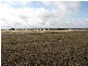 Trundle NSW 2875