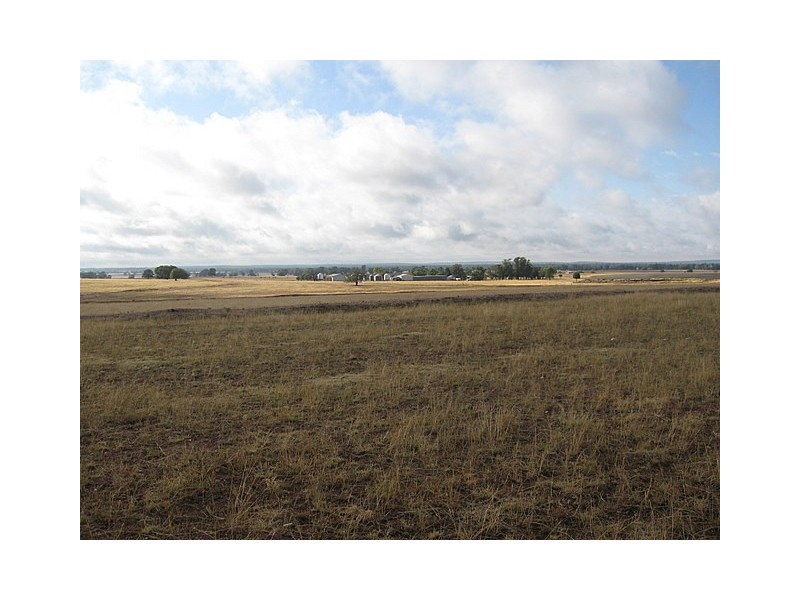 Trundle NSW 2875