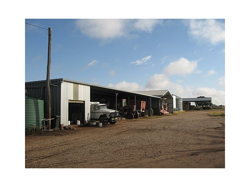 Trundle NSW 2875