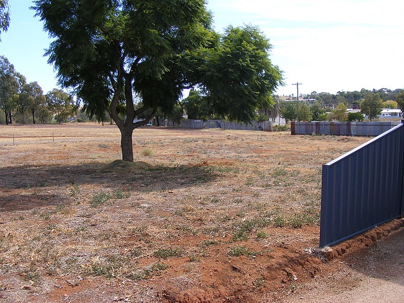 24 Charles Rigg Avenue, Parkes NSW 2870