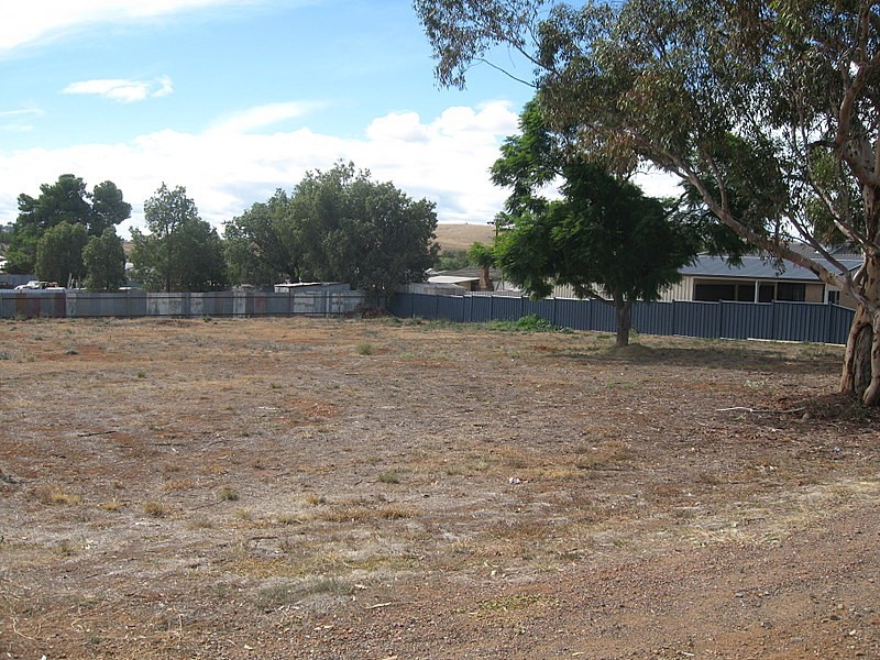 24 Charles Rigg Avenue, Parkes NSW 2870