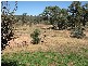623  Cookamidgera Road, Parkes NSW 2870