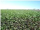 Parkes NSW 2870