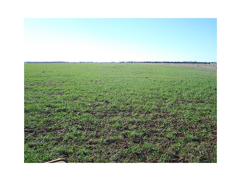 Parkes NSW 2870