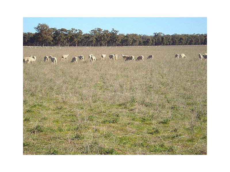 Parkes NSW 2870