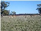 Parkes NSW 2870