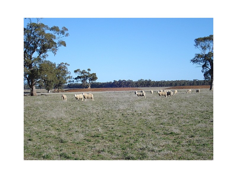 Parkes NSW 2870