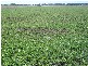 Parkes NSW 2870