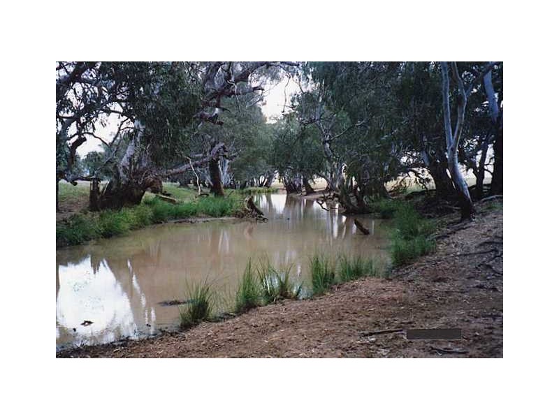 Parkes NSW 2870