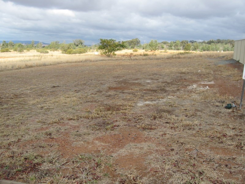 9 Vaucluse Place, Parkes NSW 2870