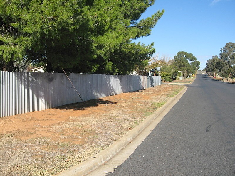 113 Dalton Street, Parkes NSW 2870