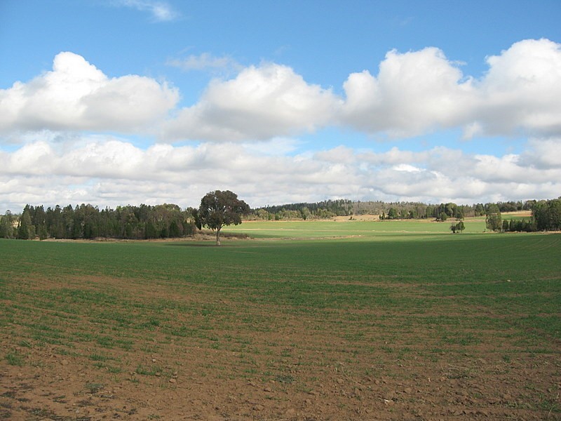 Parkes NSW 2870