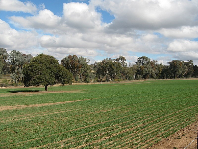 Parkes NSW 2870