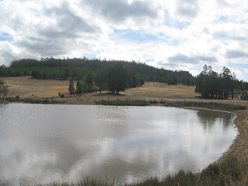 Parkes NSW 2870