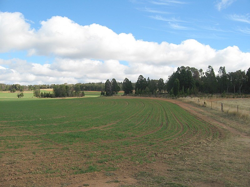 Parkes NSW 2870