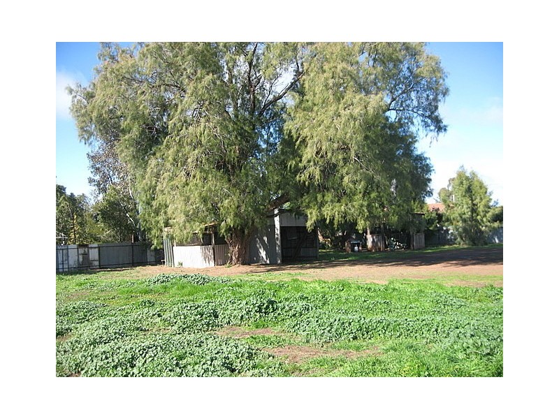 21 Brookview Street, Trundle NSW 2875
