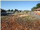 Lot 13  Mimosa Avenue, Parkes NSW 2870