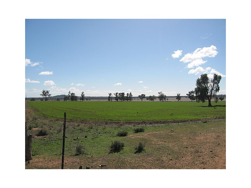Yarrabandai NSW 2875