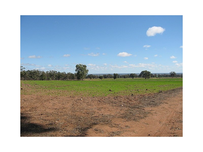 Yarrabandai NSW 2875