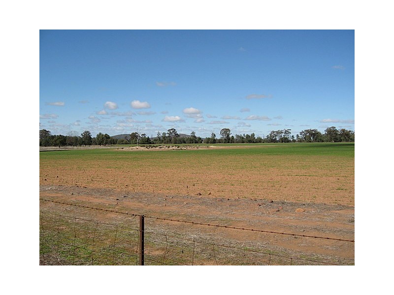Yarrabandai NSW 2875