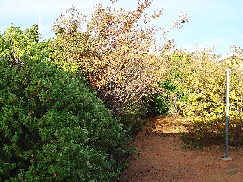 13 Christina Close, Parkes NSW 2870