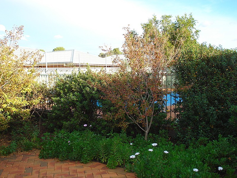 13 Christina Close, Parkes NSW 2870