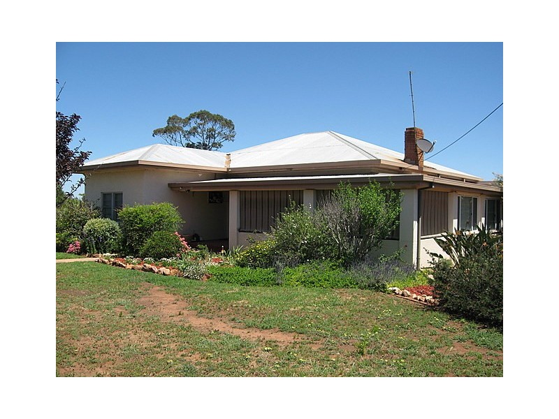 90 Warrah Street, Peak Hill NSW 2869
