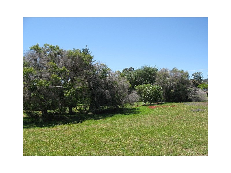 90 Warrah Street, Peak Hill NSW 2869