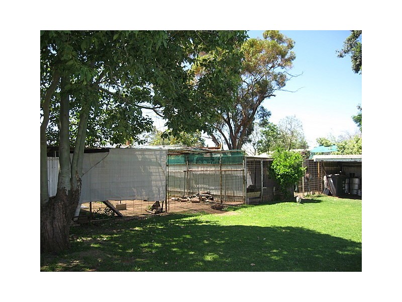 97  Warrah Street, Peak Hill NSW 2869