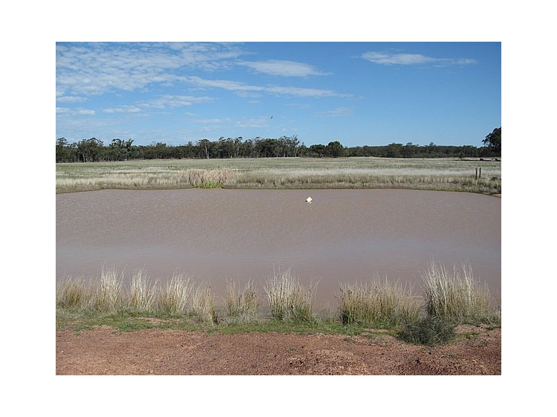 0 Trelawney, Trundle NSW 2875