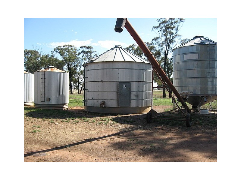 0 Trelawney, Trundle NSW 2875