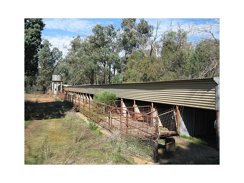 0 Trelawney, Trundle NSW 2875