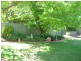 27 Mitchell Street, Parkes NSW 2870