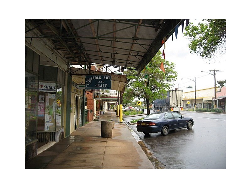 94  Caswell Street, Peak Hill NSW 2869