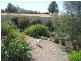 15 Basil Avenue, Parkes NSW 2870
