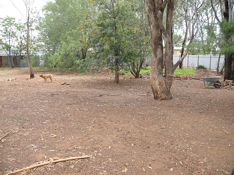 24 Best Street, Parkes NSW 2870