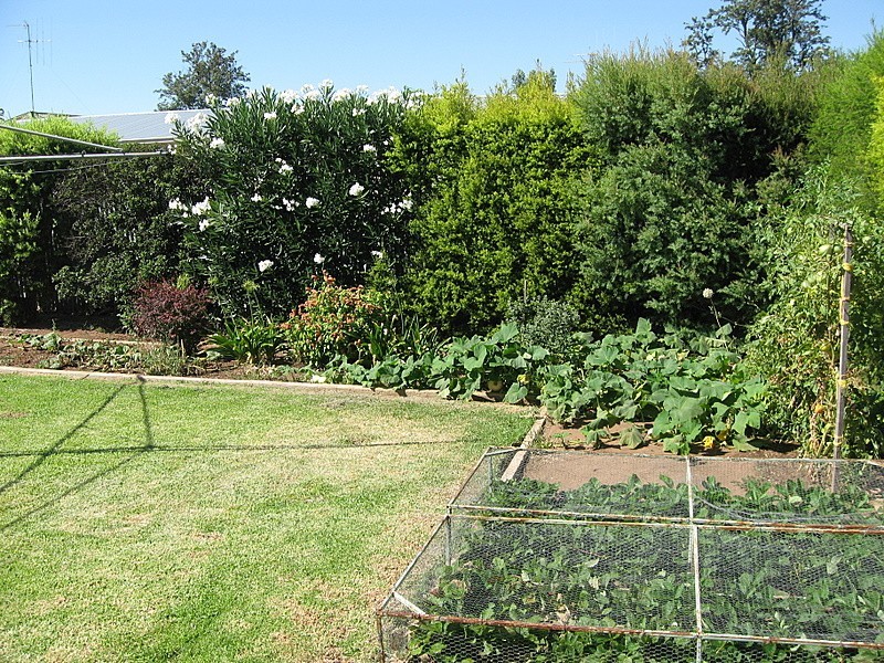 9 Downes Crescent, Parkes NSW 2870