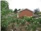 24 Victoria Street, Parkes NSW 2870